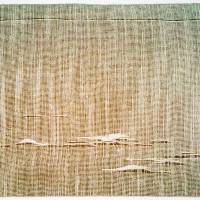 JANINA BARBARA PINKIEWICZ - Plenty of Linen